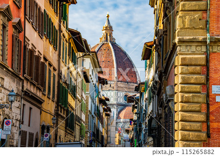 イタリアのフィレンツェのきれいな街並みの景色 115265882