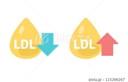 LDL 悪玉コレステロール LDL 悪玉コレステロール 115266267