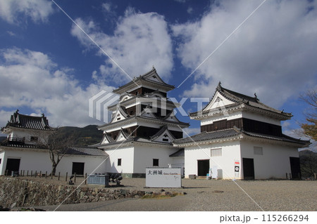 愛媛県大洲市　晴れの日の大洲城 115266294