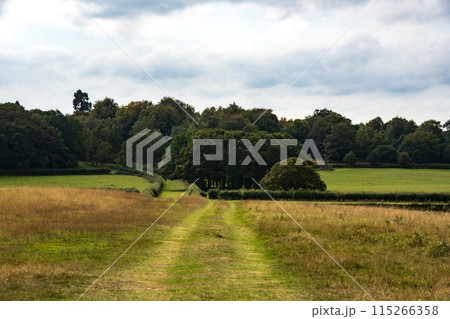 イギリスの郊外のウィンザー城の近くのロングウォーク 115266358