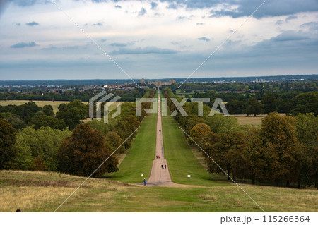 イギリスの郊外のウィンザー城の近くのロングウォーク 115266364