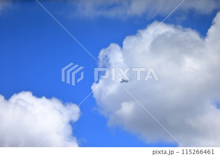青い空と白い雲 イメージ 青い空と白い雲 イメージ 115266461