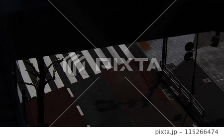 渋谷の横断歩道 115266474
