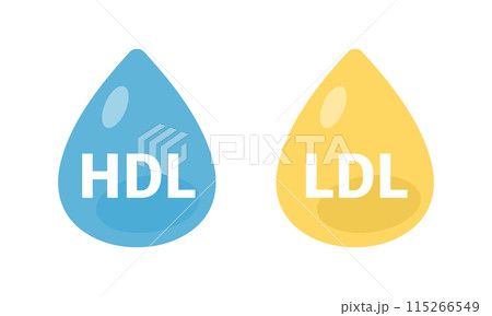 HDL LDL コレステロール 115266549