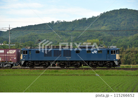 伯備線を走るEF64電気機関車 115266652