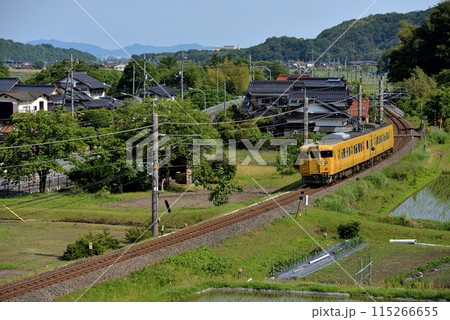 伯備線を走る115系普通電車2両 115266655
