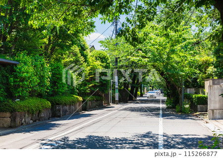 閑静な住宅街　成城 115266877