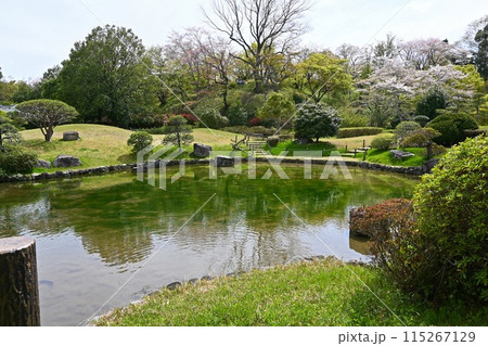 池に写りこむ庭園の美しい風景 池に写りこむ庭園の美しい風景 115267129