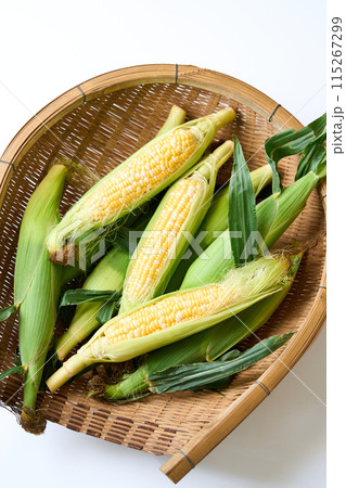 収穫したとうもろこし 115267299