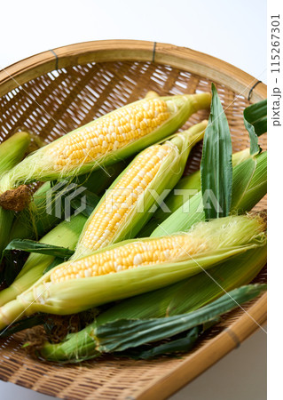 収穫したとうもろこし 115267301