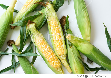 収穫したとうもろこし 収穫したとうもろこし 115267376
