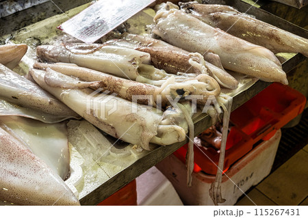 The fish and grocery market in the Markethall of Loule in the Algarve, Portugal in Europe. 115267431