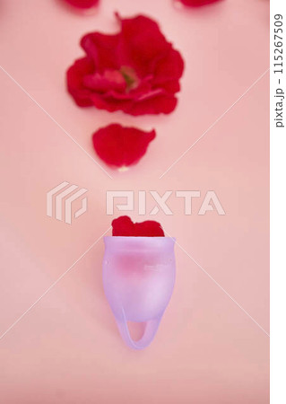 woman's uterus, red roses, menstruation 115267509