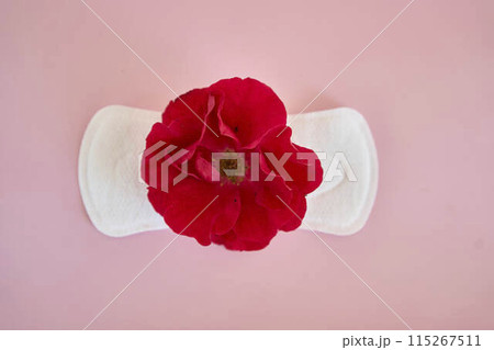 woman's uterus, red roses, menstruation 115267511
