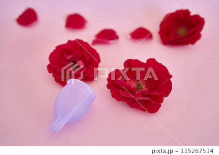 woman's uterus, red roses, menstruation 115267514