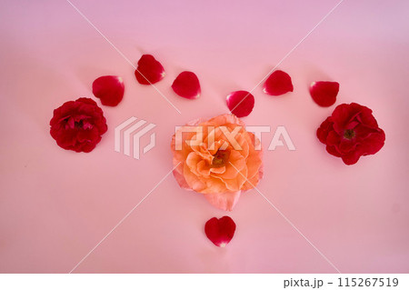 woman's uterus, red roses, menstruation 115267519