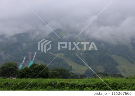 夏の白馬 115267666