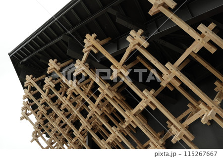 夏の白馬 115267667