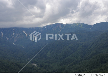 夏の白馬 115267673