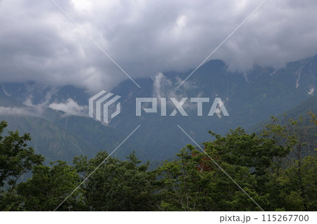 夏の白馬 夏の白馬 115267700