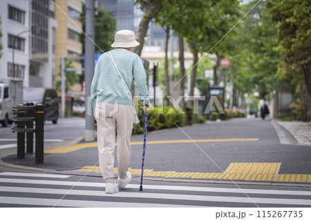 杖をついて横断歩道を渡るシニア女性の後ろ姿 115267735