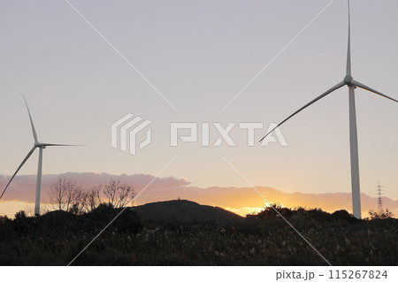 夕日と風車 115267824