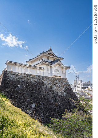歩道から見る舞鶴城公園の風景(山梨県) 歩道から見る舞鶴城公園の風景(山梨県) 115267959