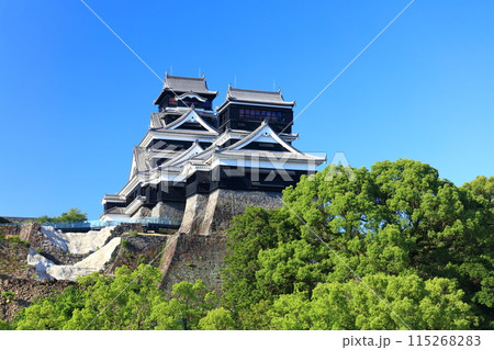 【熊本県】快晴の熊本城（大天守と小天守） 115268283