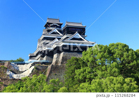 【熊本県】快晴の熊本城(大天守と小天守) 【熊本県】快晴の熊本城(大天守と小天守) 115268284