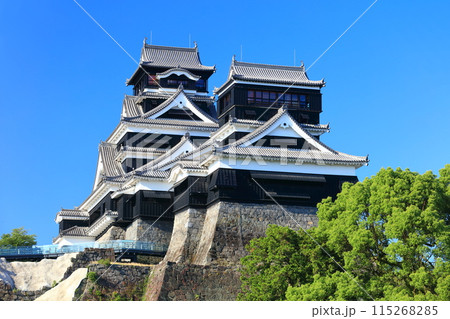 【熊本県】快晴の熊本城（大天守と小天守） 115268285