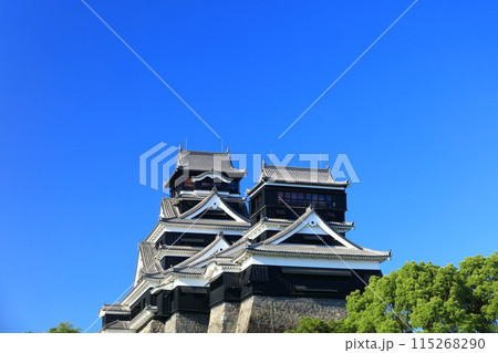 【熊本県】快晴の熊本城（大天守と小天守） 115268290