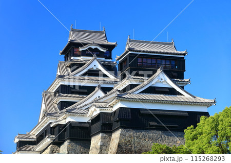 【熊本県】快晴の熊本城(大天守と小天守) 【熊本県】快晴の熊本城(大天守と小天守) 115268293