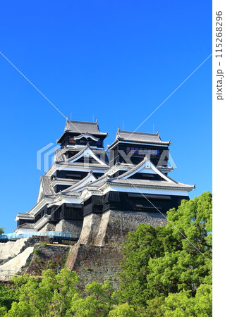 【熊本県】快晴の熊本城（大天守と小天守） 115268296