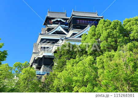 【熊本県】快晴の熊本城（大天守と小天守） 115268301