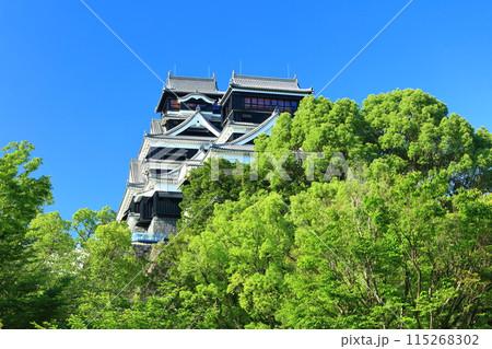 【熊本県】快晴の熊本城（大天守と小天守） 115268302