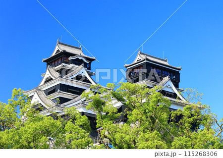 【熊本県】快晴の熊本城(大天守と小天守) 【熊本県】快晴の熊本城(大天守と小天守) 115268306