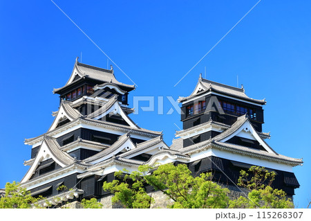 【熊本県】快晴の熊本城（大天守と小天守） 115268307