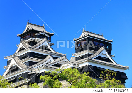 【熊本県】快晴の熊本城（大天守と小天守） 115268308