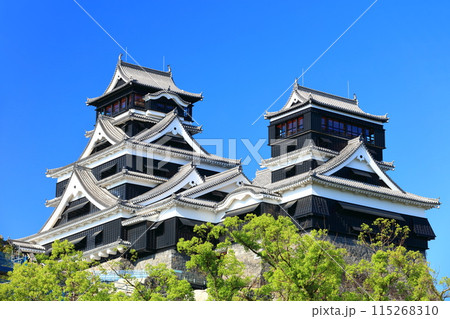 【熊本県】快晴の熊本城(大天守と小天守) 【熊本県】快晴の熊本城(大天守と小天守) 115268310