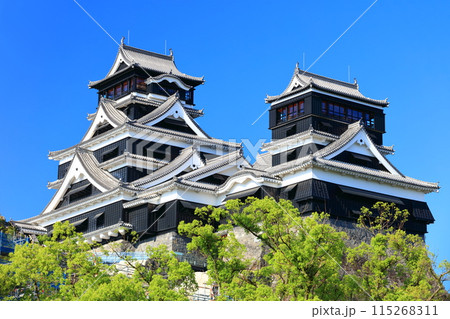 【熊本県】快晴の熊本城(大天守と小天守) 【熊本県】快晴の熊本城(大天守と小天守) 115268311