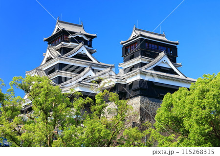 【熊本県】快晴の熊本城（大天守と小天守） 115268315