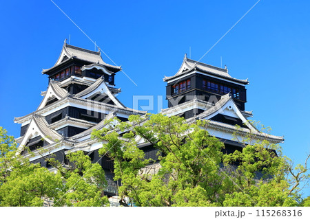 【熊本県】快晴の熊本城(大天守と小天守) 【熊本県】快晴の熊本城(大天守と小天守) 115268316