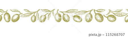 Olive branch pattern. Vector ornament. Art sketch Olive branch pattern. Vector ornament. Art sketch 115268707