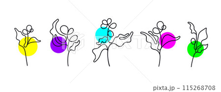 Coffee abstract line modern shapes. Branch, plant 115268708