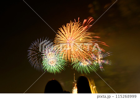 風になびく花火 115268999