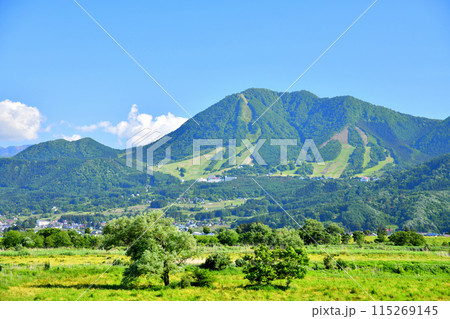 道の駅花の駅千曲川付近より高社山方面を望む(長野県飯山市／木島平村)【2024.6】 115269145