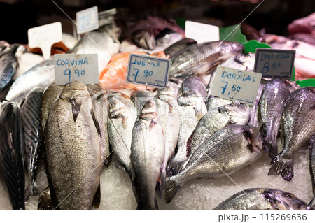 Colorful choice of fish at a market in Spain. Closeup of fish on display in a fish market, food concept. Fresh raw dorado Colorful choice of fish at a market in Spain. Closeup of fish on display in a fish market, food concept. Fresh raw dorado 115269636