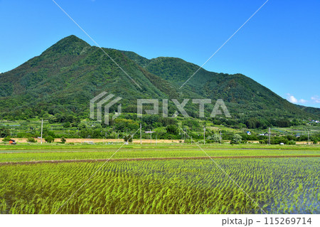 飯山市蓮より高社山方面を望む(長野県飯山市)【2024.6】 115269714