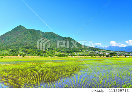 飯山市蓮より高社山方面を望む(長野県飯山市)【2024.6】 115269718