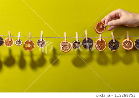 Orange, lemon and lime slices are dried on a line. 115269753